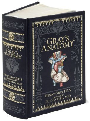Gray's Anatomy (Barnes & Noble Collectible Classics: Omnibus Edition) (Barnes & Noble Collectible Editions)