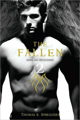 The Fallen 2: Aerie and Reckoning (Volume 2)