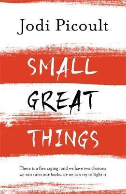 Small Great Things: 'To Kill a Mockingbird for the 21st Century'
