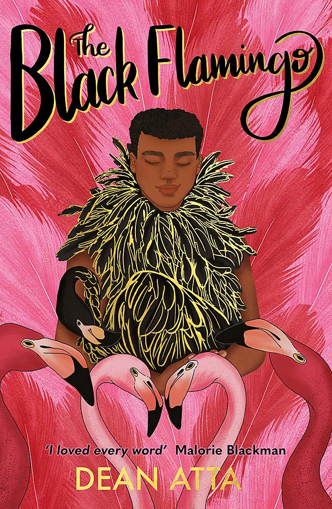The Black Flamingo: The much loved, award-winning, queer coming-of-age story