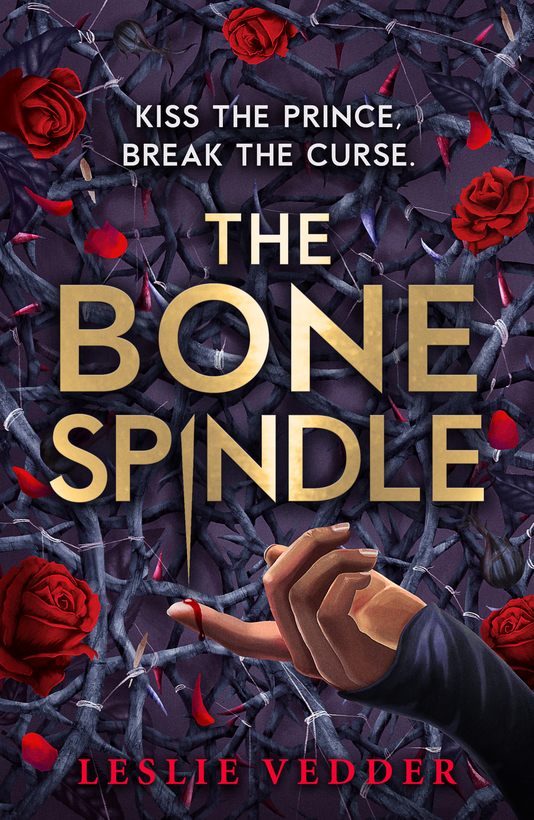 The Bone Spindle: Book 1: a fractured twist on the classic fairy tale Sleeping Beauty