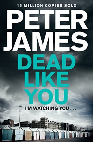 Dead Like You (Roy Grace, Band 6)