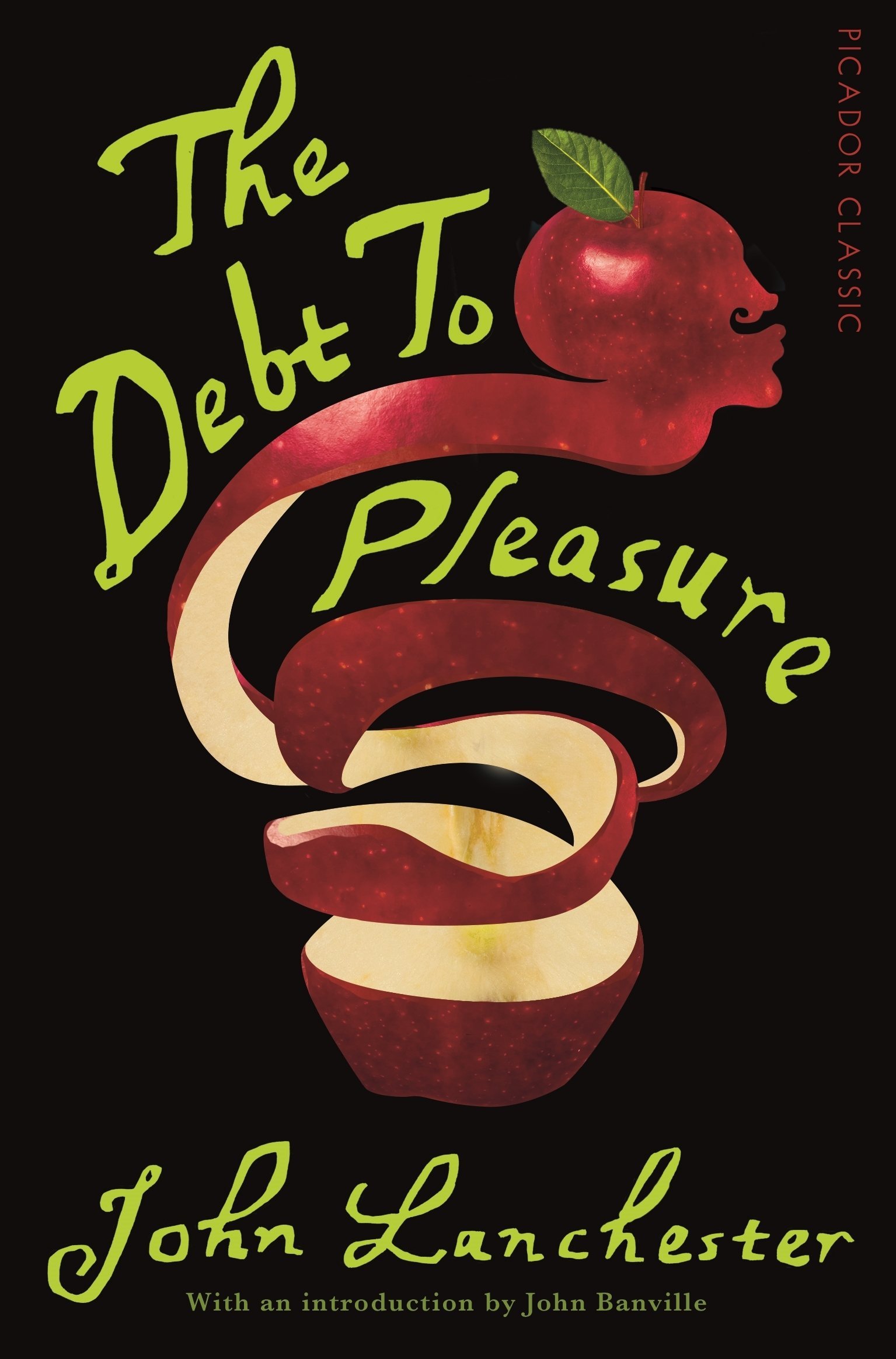 The Debt To Pleasure (Picador Classic, 7)