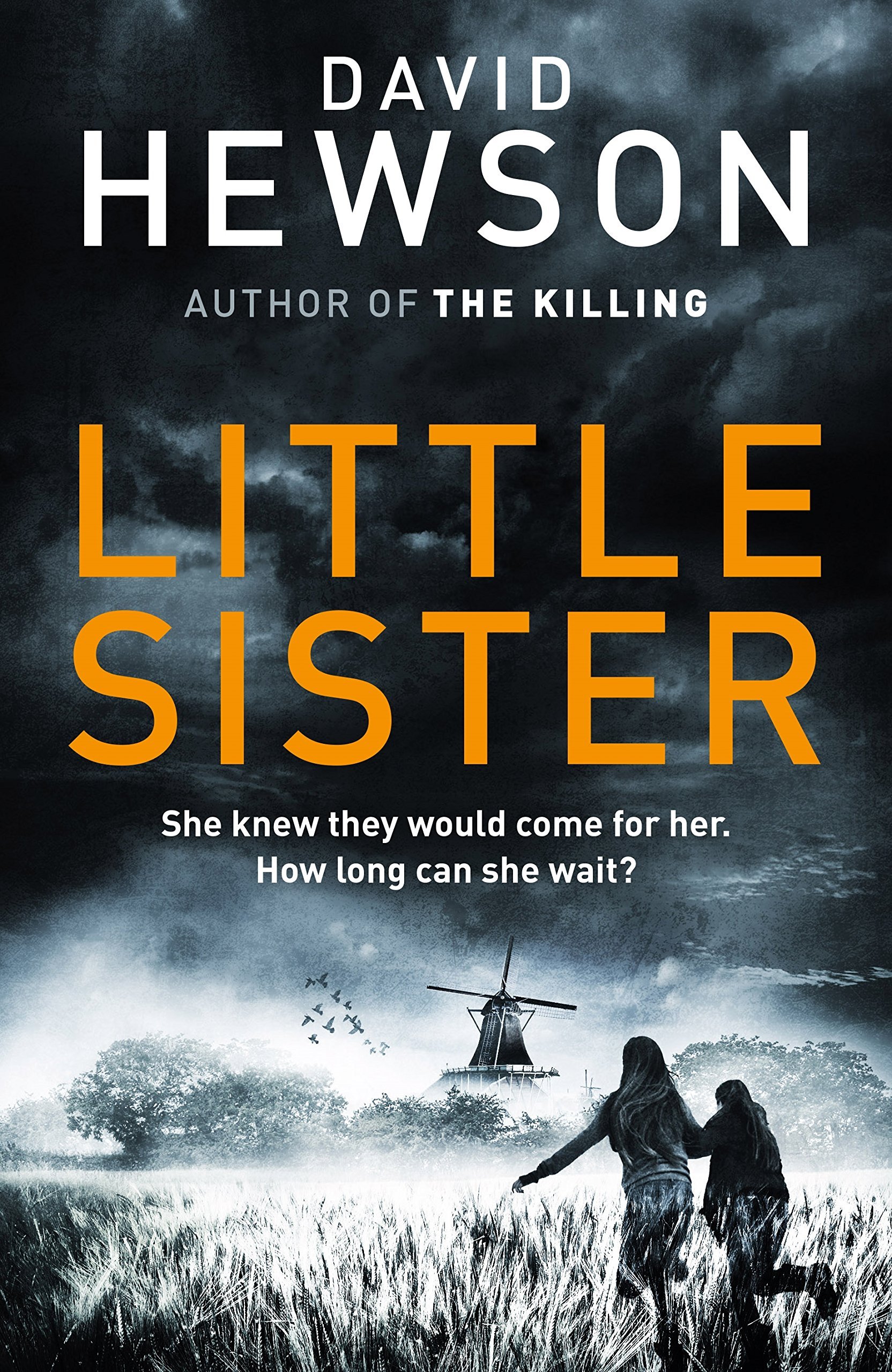 Little Sister (Detective Pieter Vos, 3)