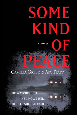 Some Kind of Peace: A Novel (Siri Bergman)