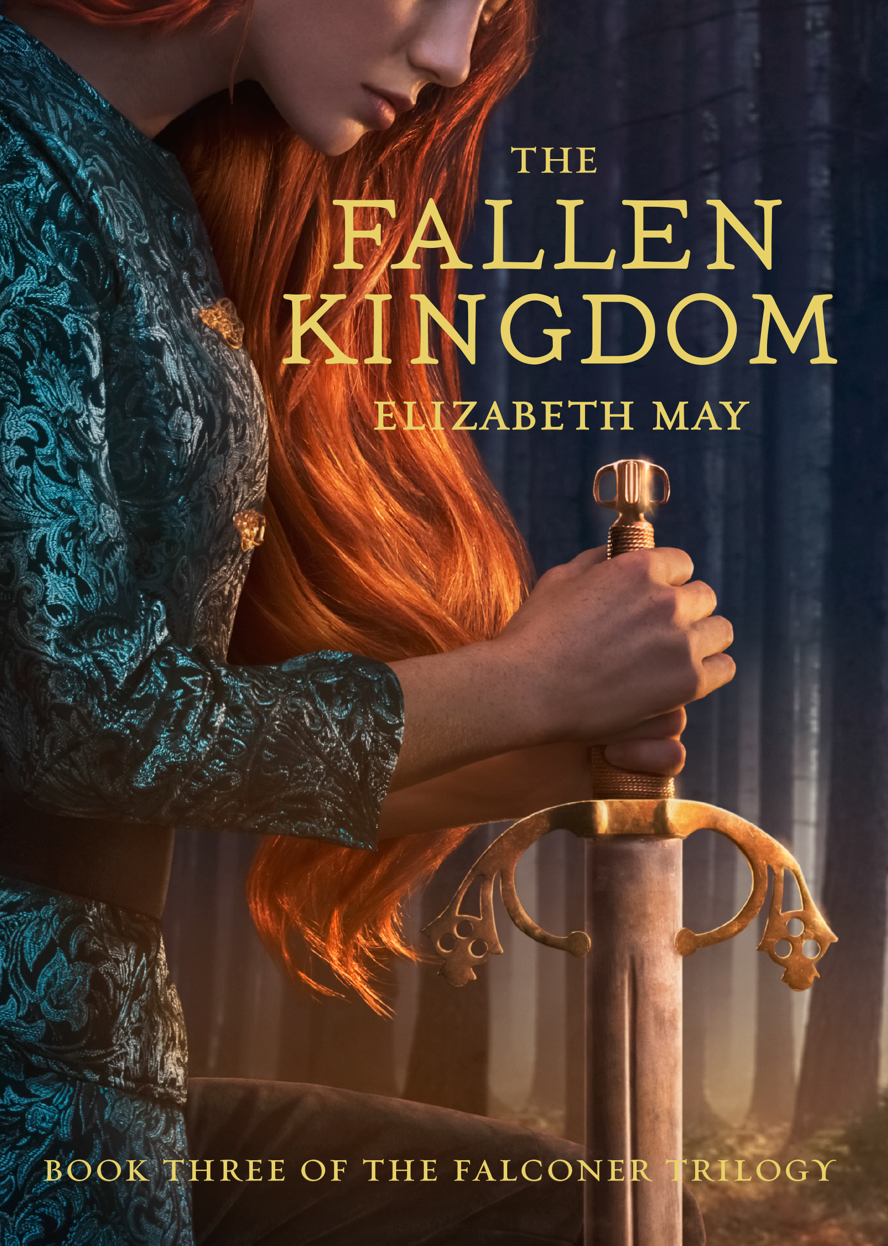The Fallen Kingdom: Book Three of the Falconer Trilogy (Young Adult Books, Fantasy Novels, Trilogies for Young Adults) (The Falconer, 3, Band 3)