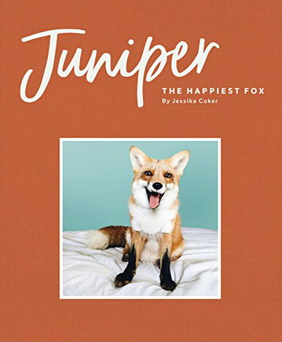 Juniper: The Happiest Fox: (Books about Animals, Fox Gifts, Animal Picture Books, Gift Ideas for Friends)