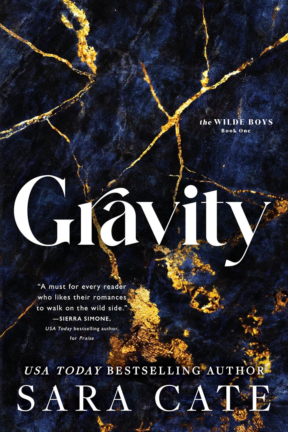 Gravity (Wilde Boys, 1, Band 1)