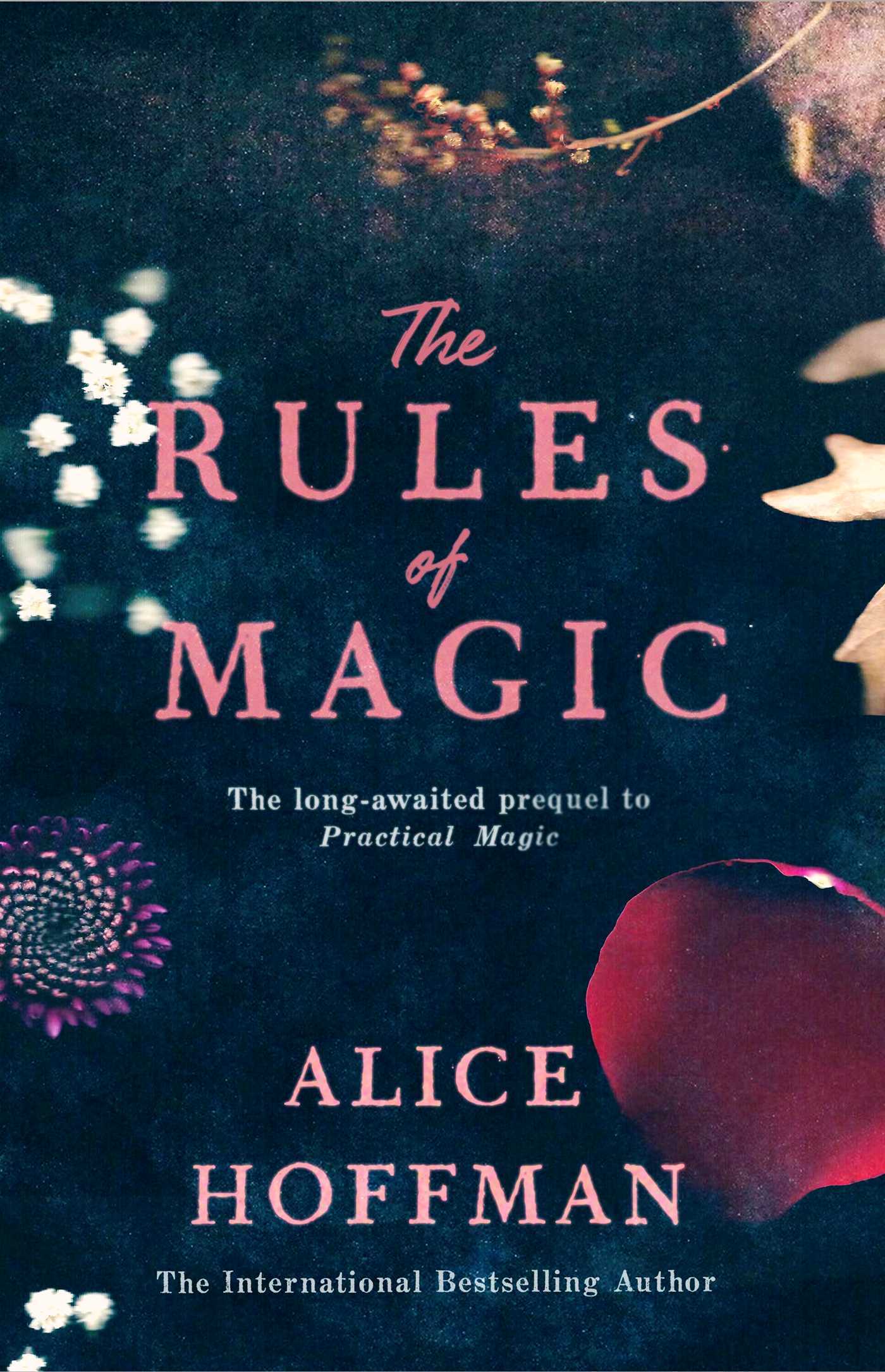 The Rules of Magic: Prequel to Practical Magic (The Practical Magic Series, Band 2)