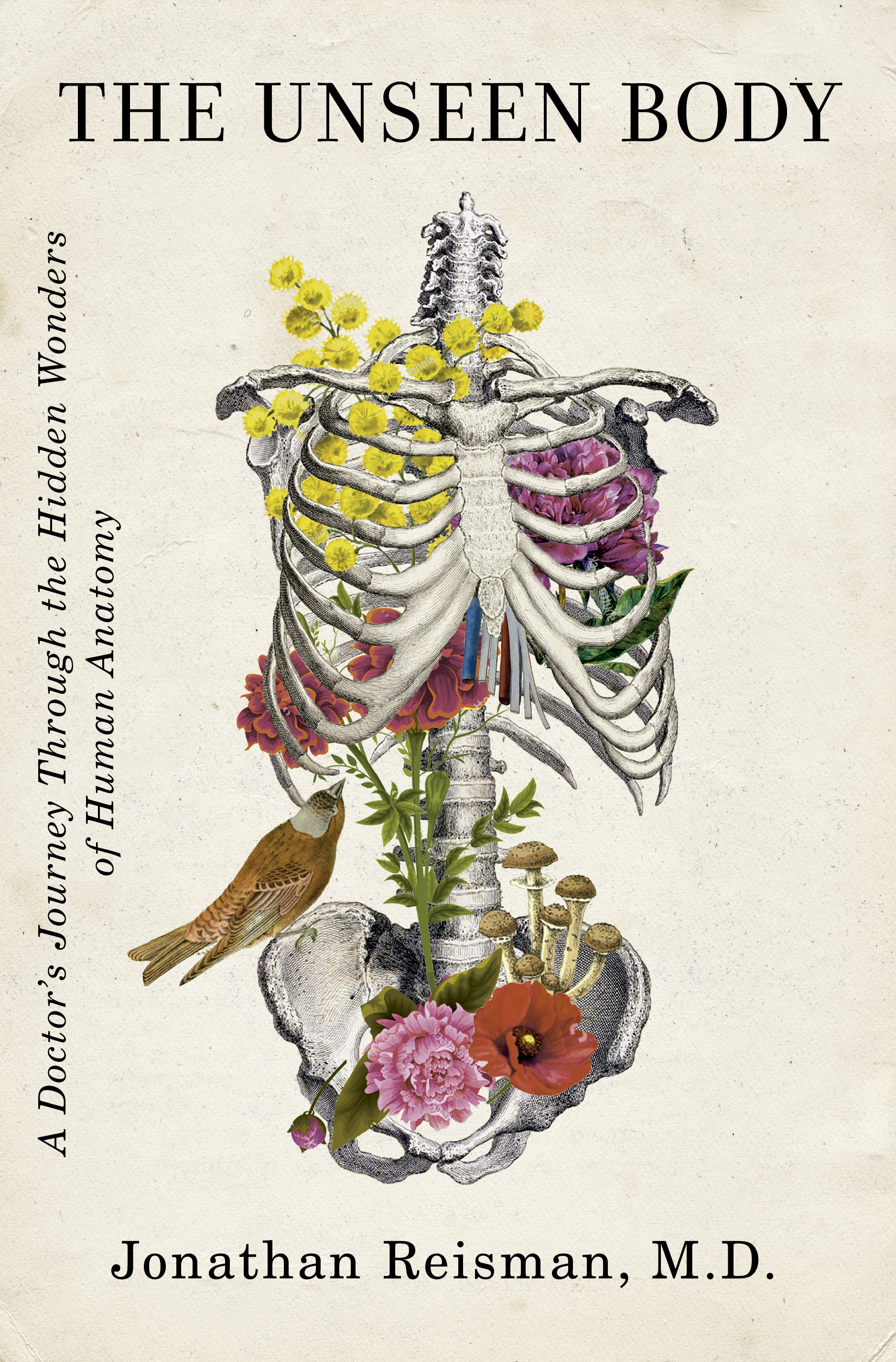 The Unseen Body: A Doctor's Journey Through the Hidden Wonders of Human Anatomy
