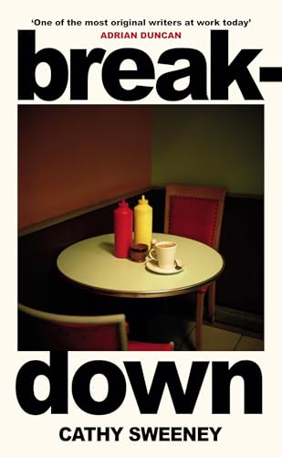 Breakdown: The humane Irish Bestseller about the dark side of modern motherhood