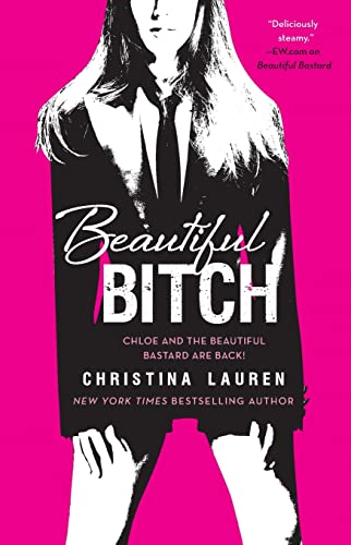 Beautiful Bitch: Volume 3 (The Beautiful Series, Band 3)