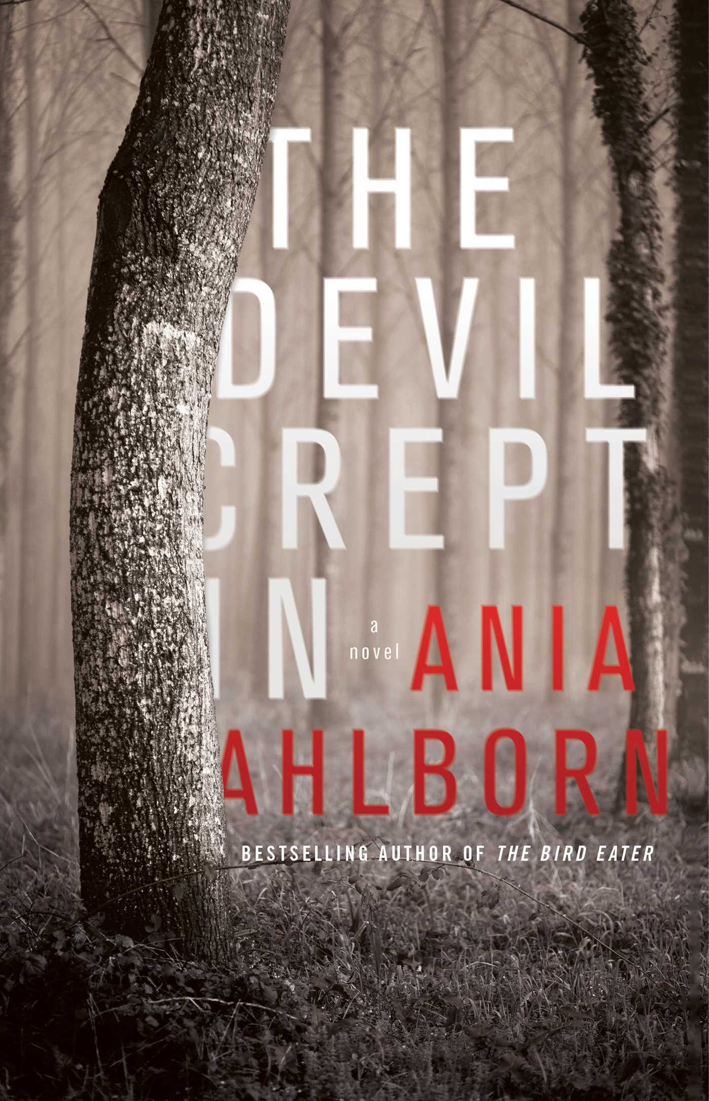 The Devil Crept In: A Novel