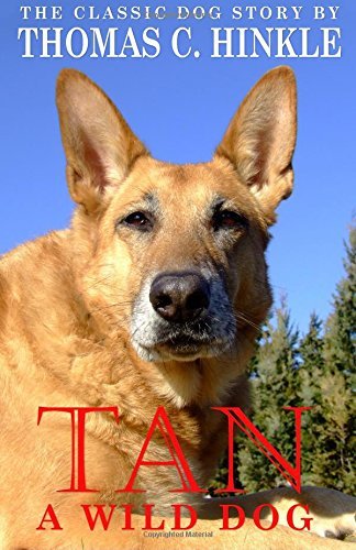 Tan: A Wild Dog