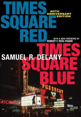 Times Square Red, Times Square Blue (Sexual Cultures)