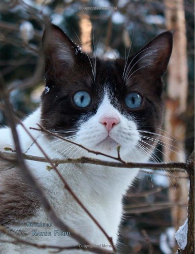 Notizbuch Kater Filou: Letter (ca. A4), kariert und liniert in einem, 100 Seiten, Katze