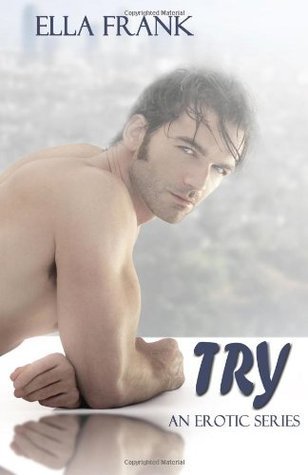 Try (Temptation Series, Band 1)