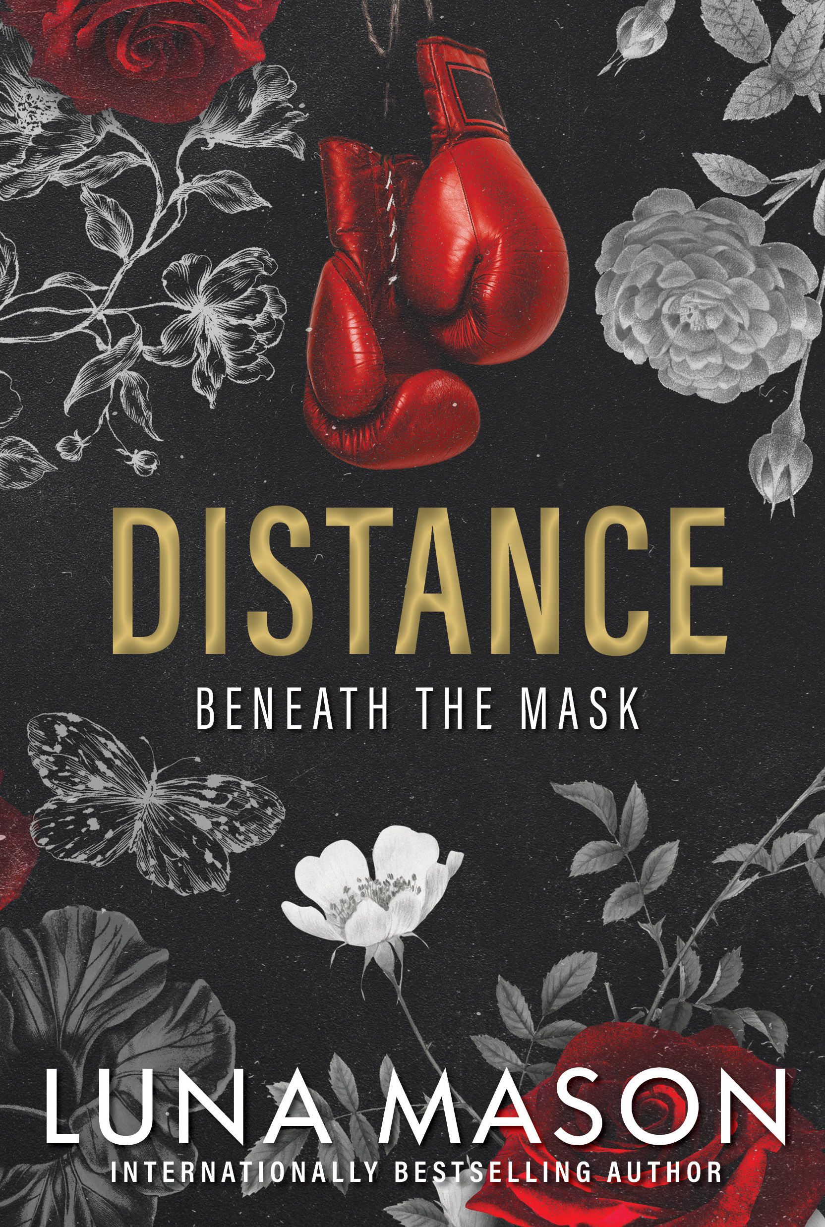 Distance: A Dark Mafia Romance (Beneath the Mask, Band 1)
