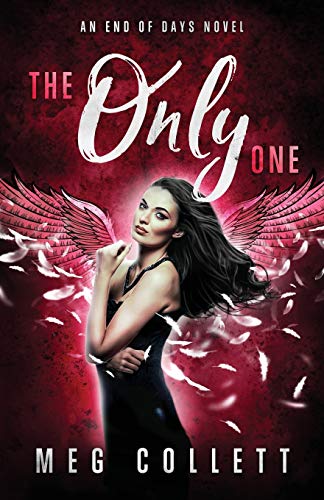 The Only One (End of Days, Band 3)