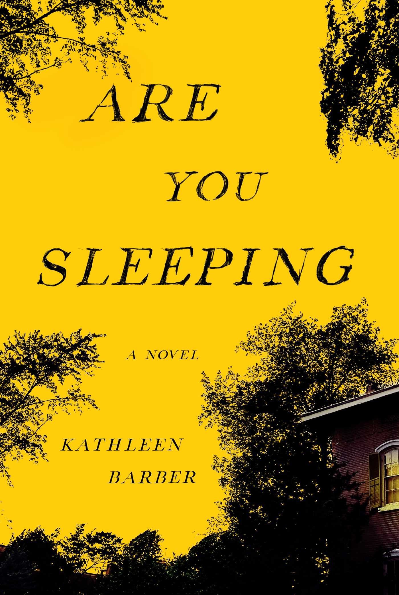 Are You Sleeping: A Novel
