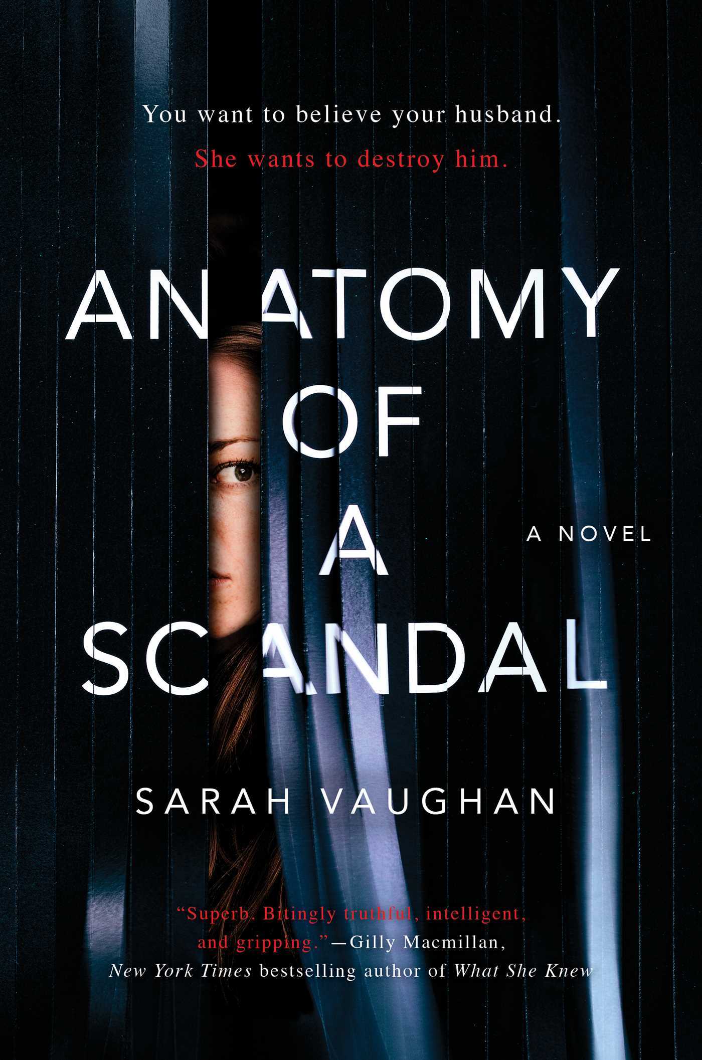Anatomy of a Scandal: A Novel