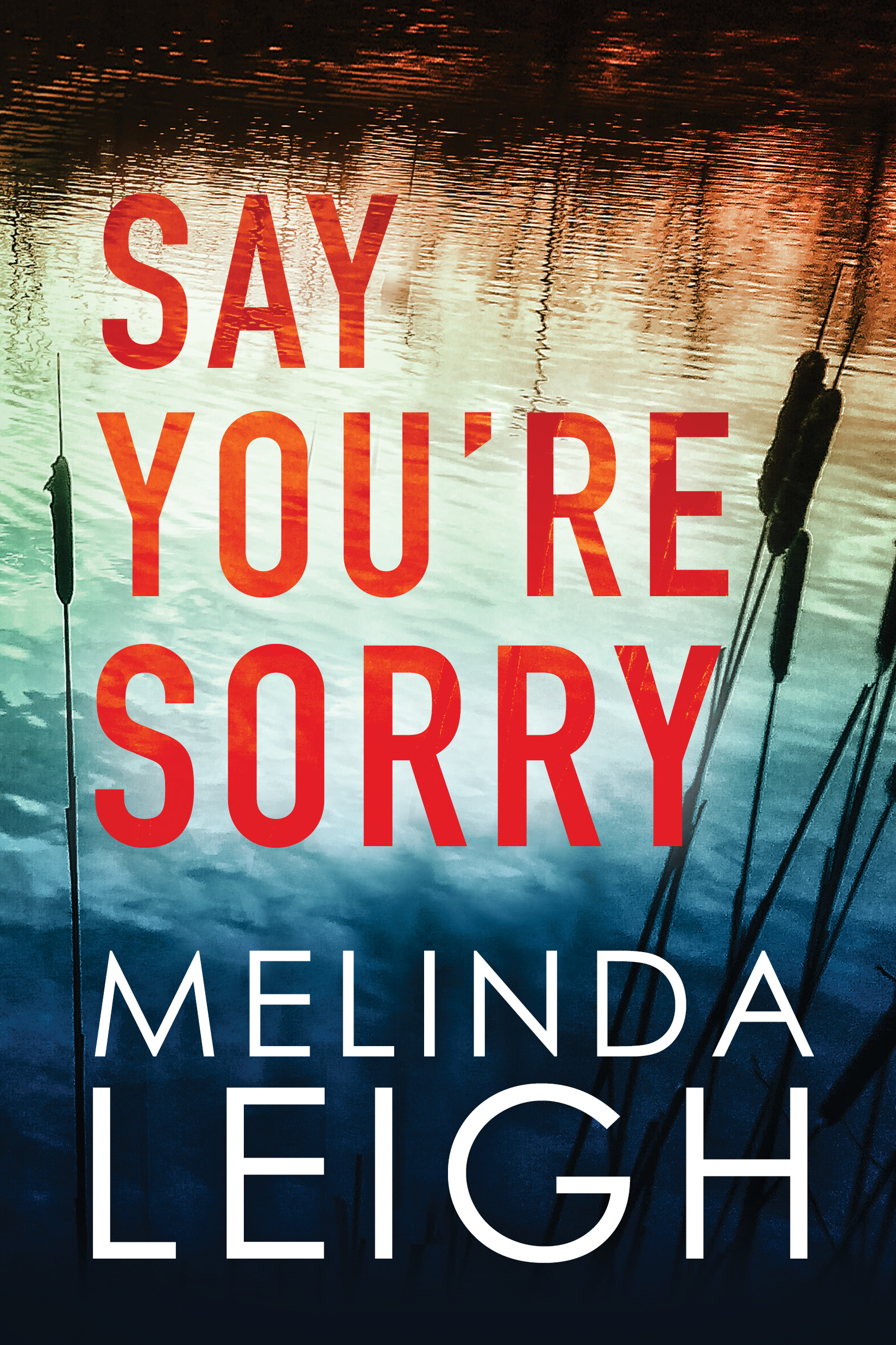 Say You're Sorry (Morgan Dane, 1, Band 1)