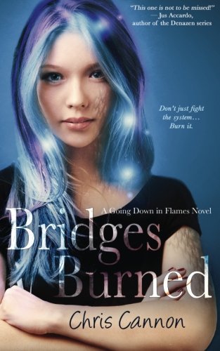 Bridges Burned (a Going Down in Flames novel)