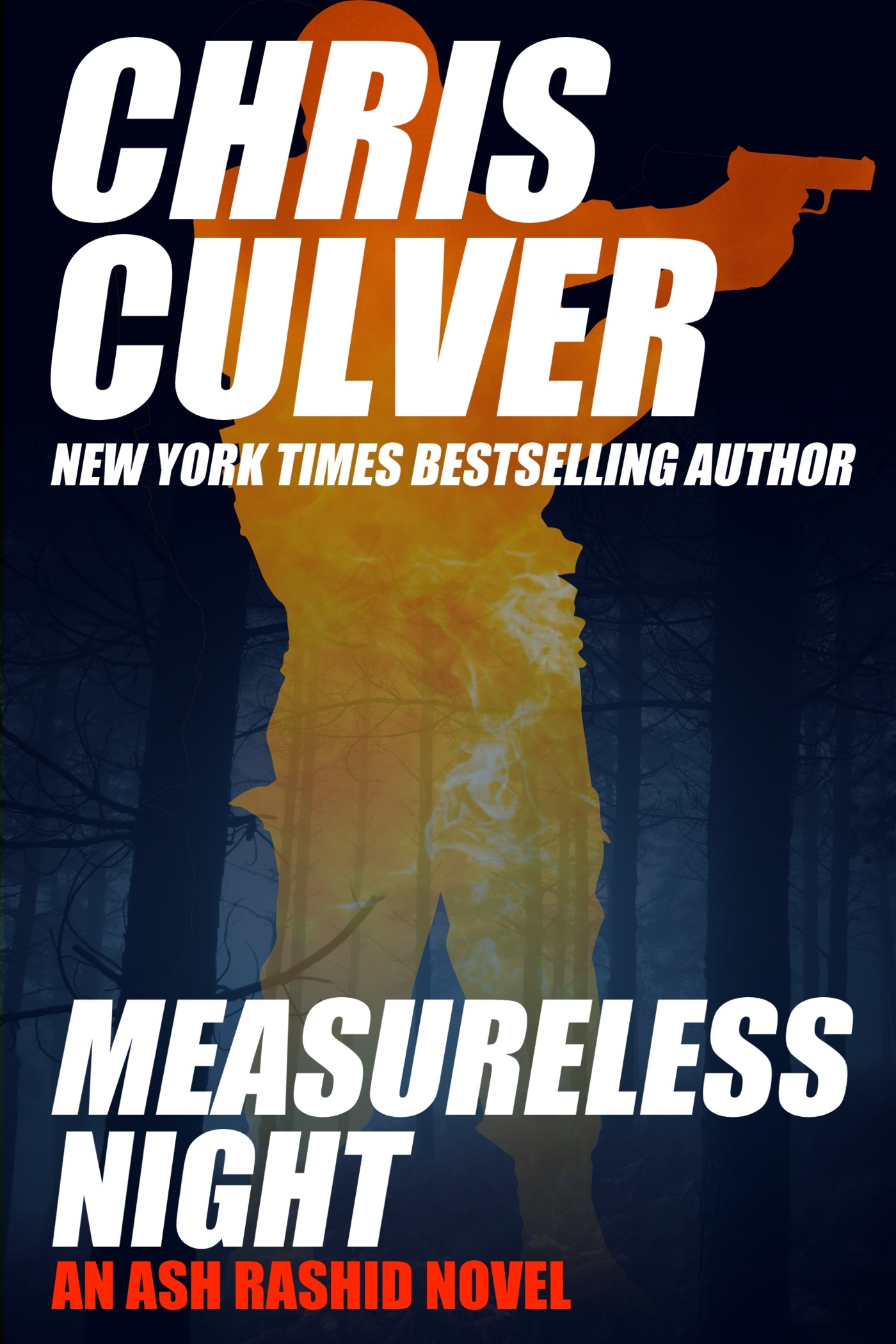 Measureless Night (Ash Rashid, Band 4)