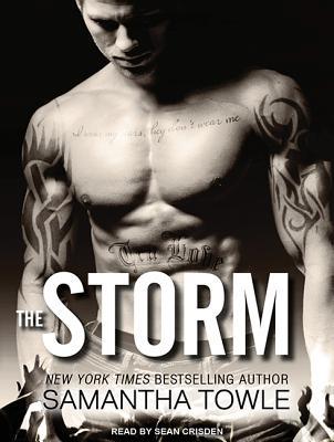 The Storm (Mighty Storm, Band 4)