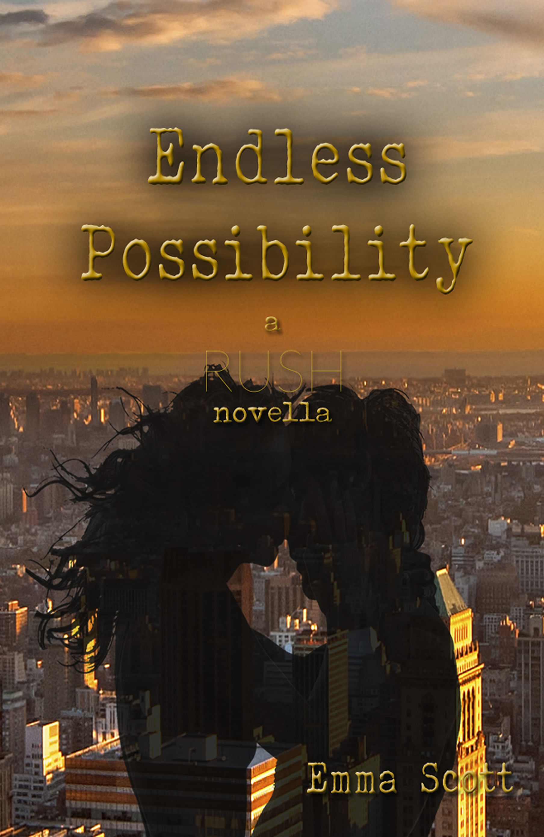 Endless Possibility: a RUSH novella (City Lights, Band 3)