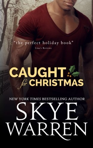 Caught for Christmas (Stripped, Band 5)