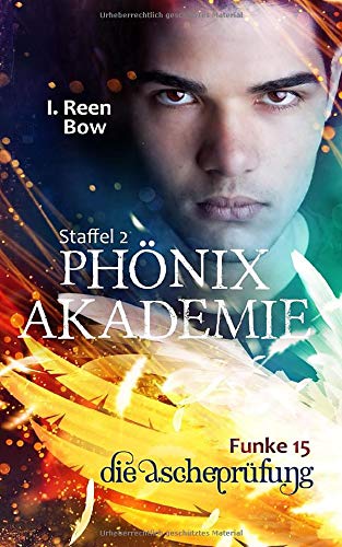 Phönixakademie - Funke 15: Die Ascheprüfung