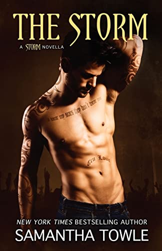 The Storm (The Storm Series, Band 4)