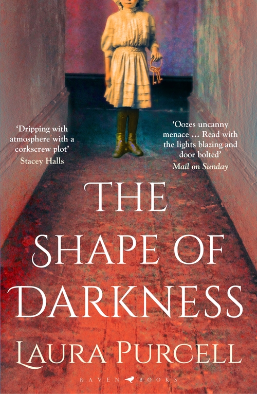 The Shape of Darkness: 'A future gothic classic' Martyn Waites
