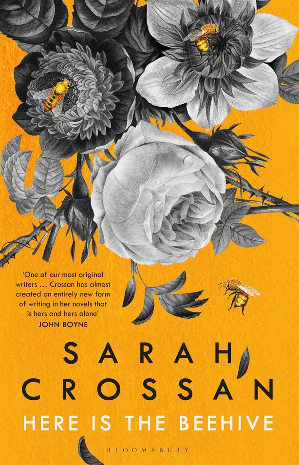 Here is the Beehive: Shortlisted for Popular Fiction Book of the Year in the AN Post Irish Book Awards