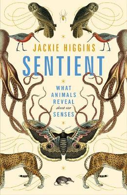 Sentient: What Animals Reveal About Our Senses