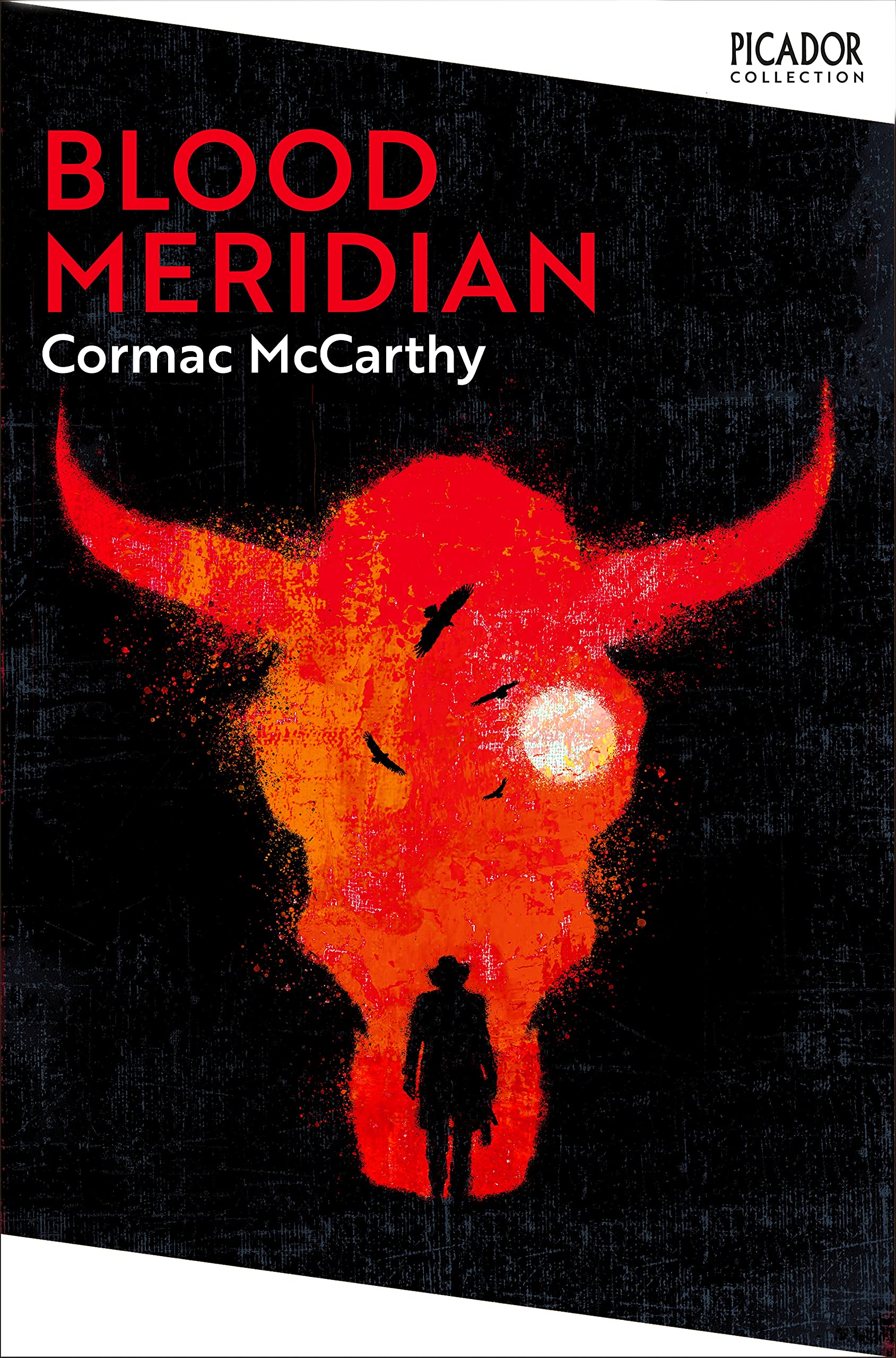 Blood Meridian: Cormac McCarthy (Picador Collection)