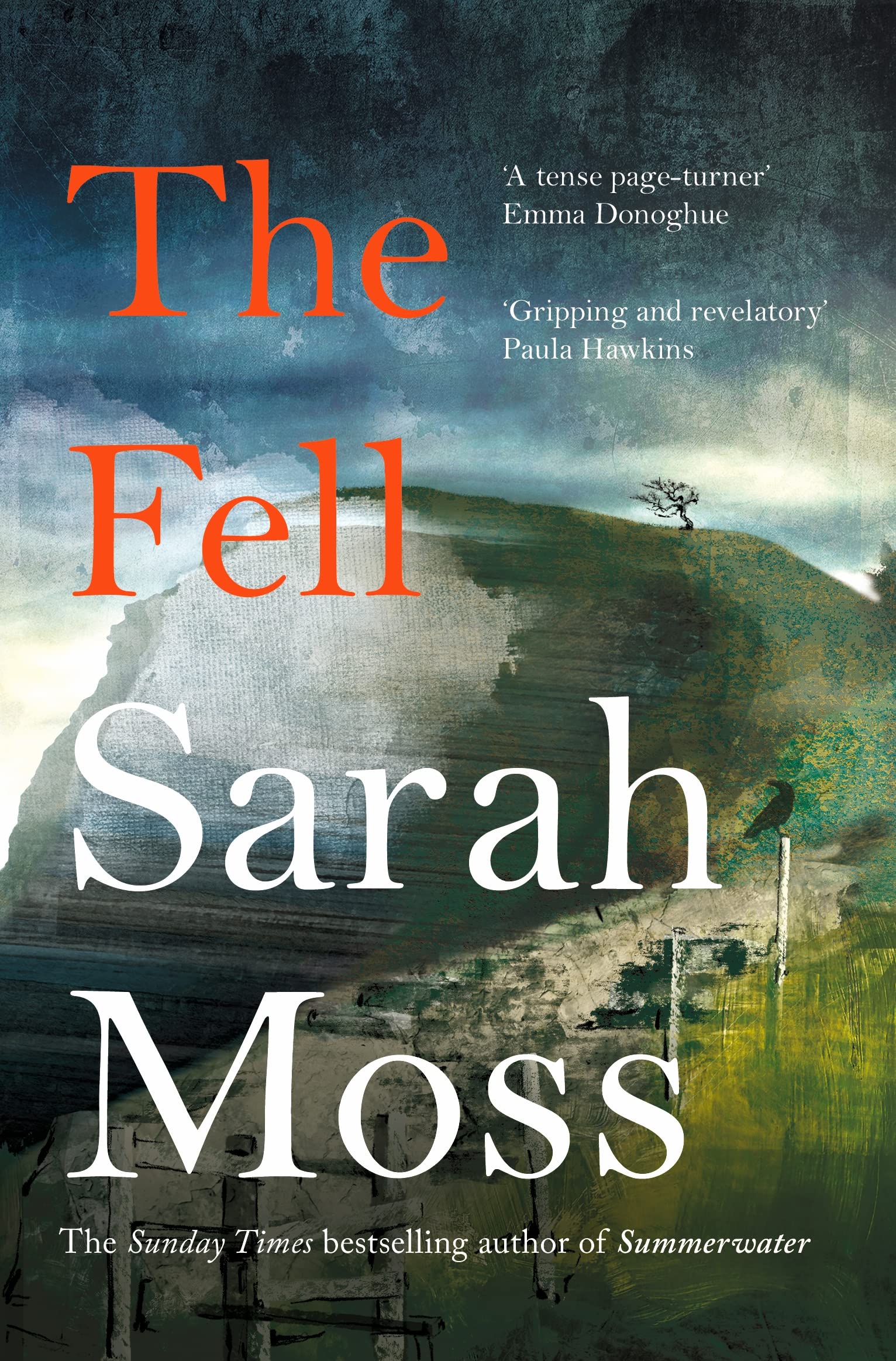The Fell: from the bestselling author of Summerwater