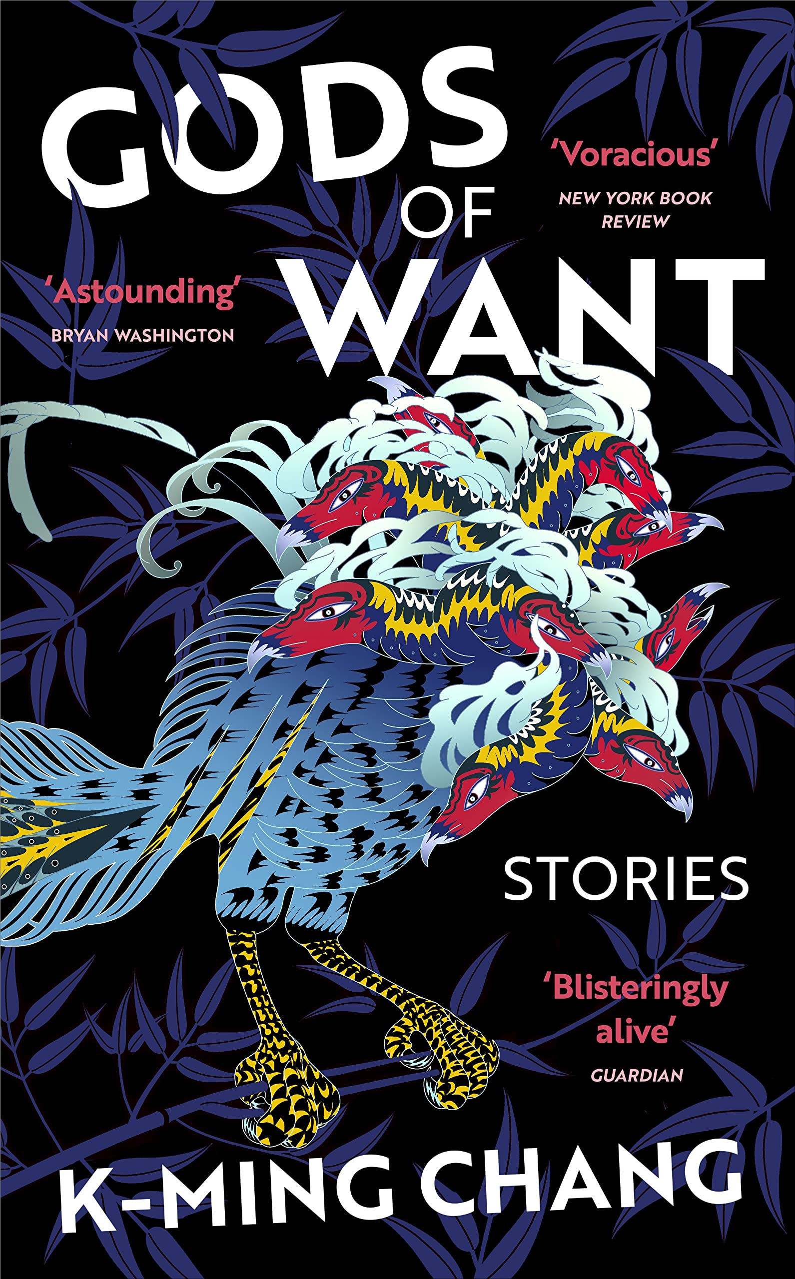 Gods of Want: A New York Times Notable Book of 2022