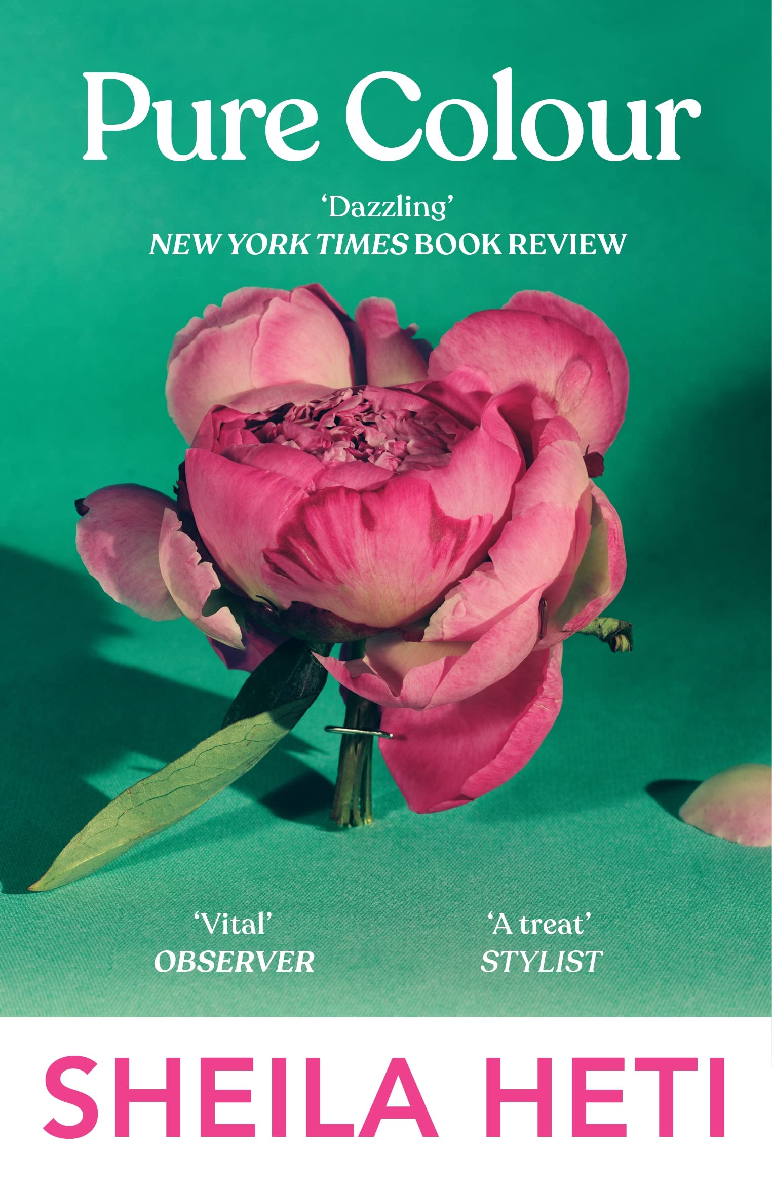 Pure Colour: the new novel from the author of Motherhood and How Should A Person Be?