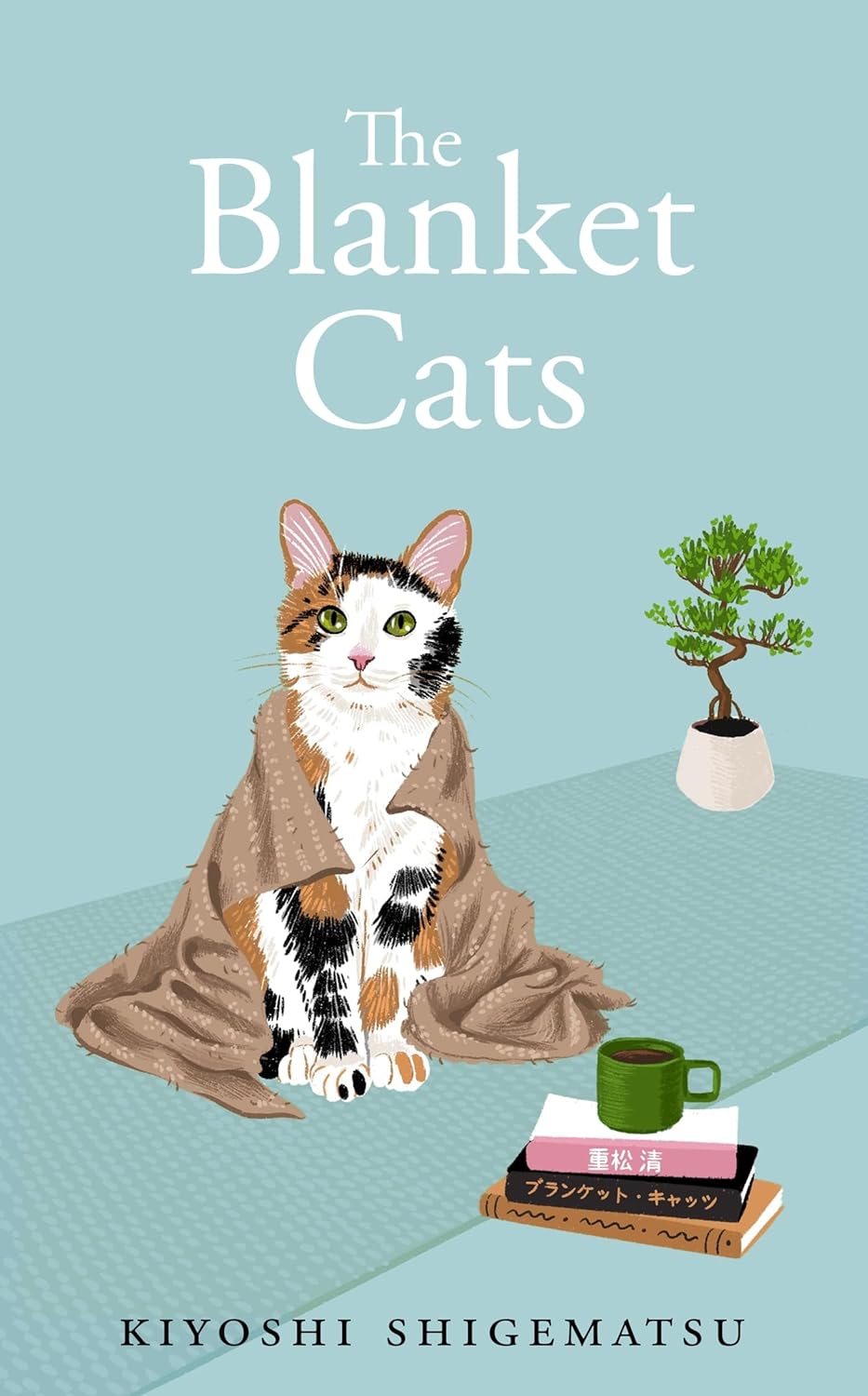 The Blanket Cats