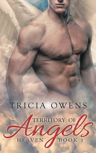 Territory of Angels (A:R Heaven 1)