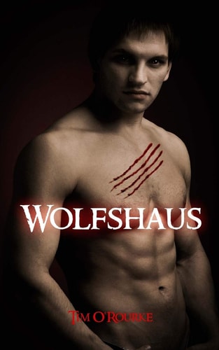 Wolfshaus: Buch Fünf der ersten Staffel der Kiera Hudson-Reihe (Kiera Hudson-Reihe erste Staffel, Band 5)