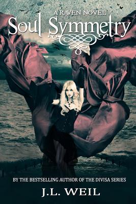 Soul Symmetry (The Raven Series, Band 3)