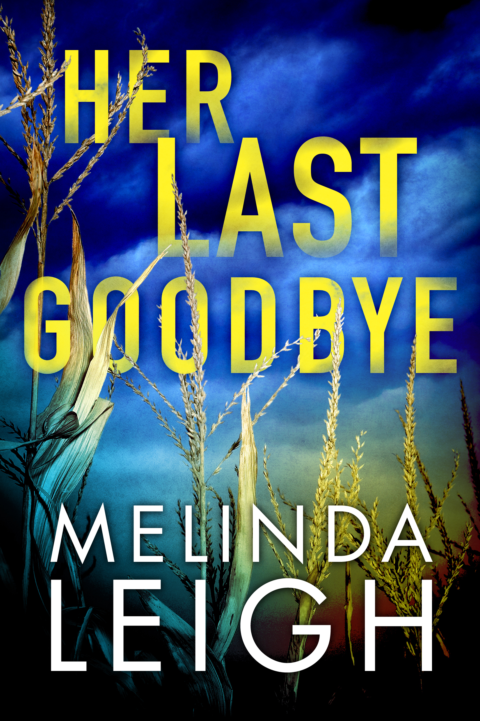 Her Last Goodbye (Morgan Dane, 2, Band 2)