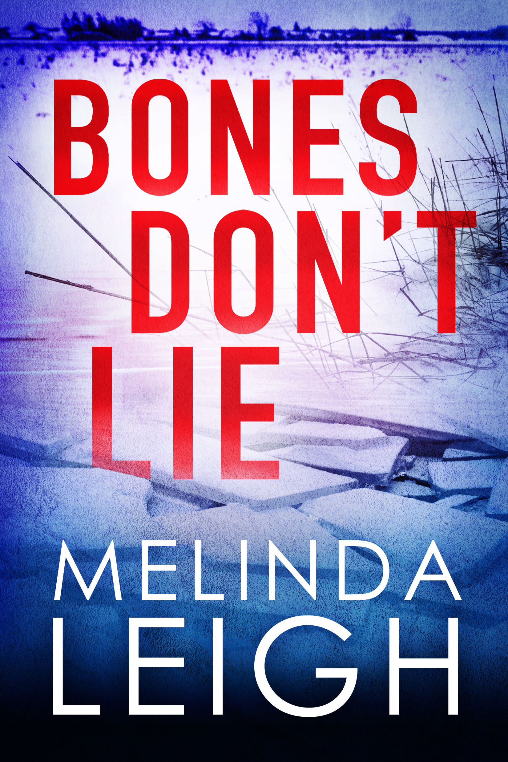 Bones Don't Lie (Morgan Dane, 3, Band 3)