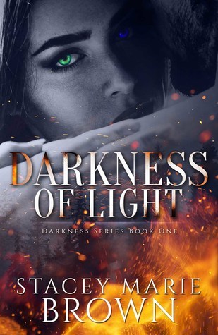 Darkness of Light (Darkness Series, Band 1)