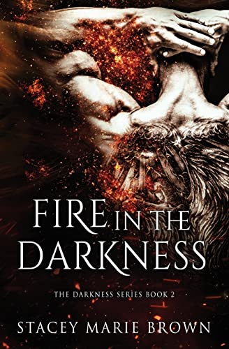 Fire in the Darkness (Darkness Series, Band 2)