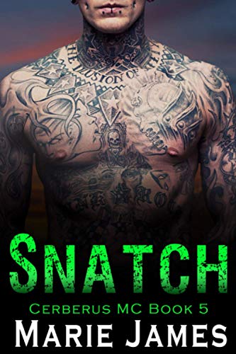 Snatch: Cerberus MC Book 5
