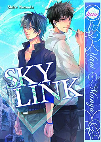 Sky Link (Yaoi)